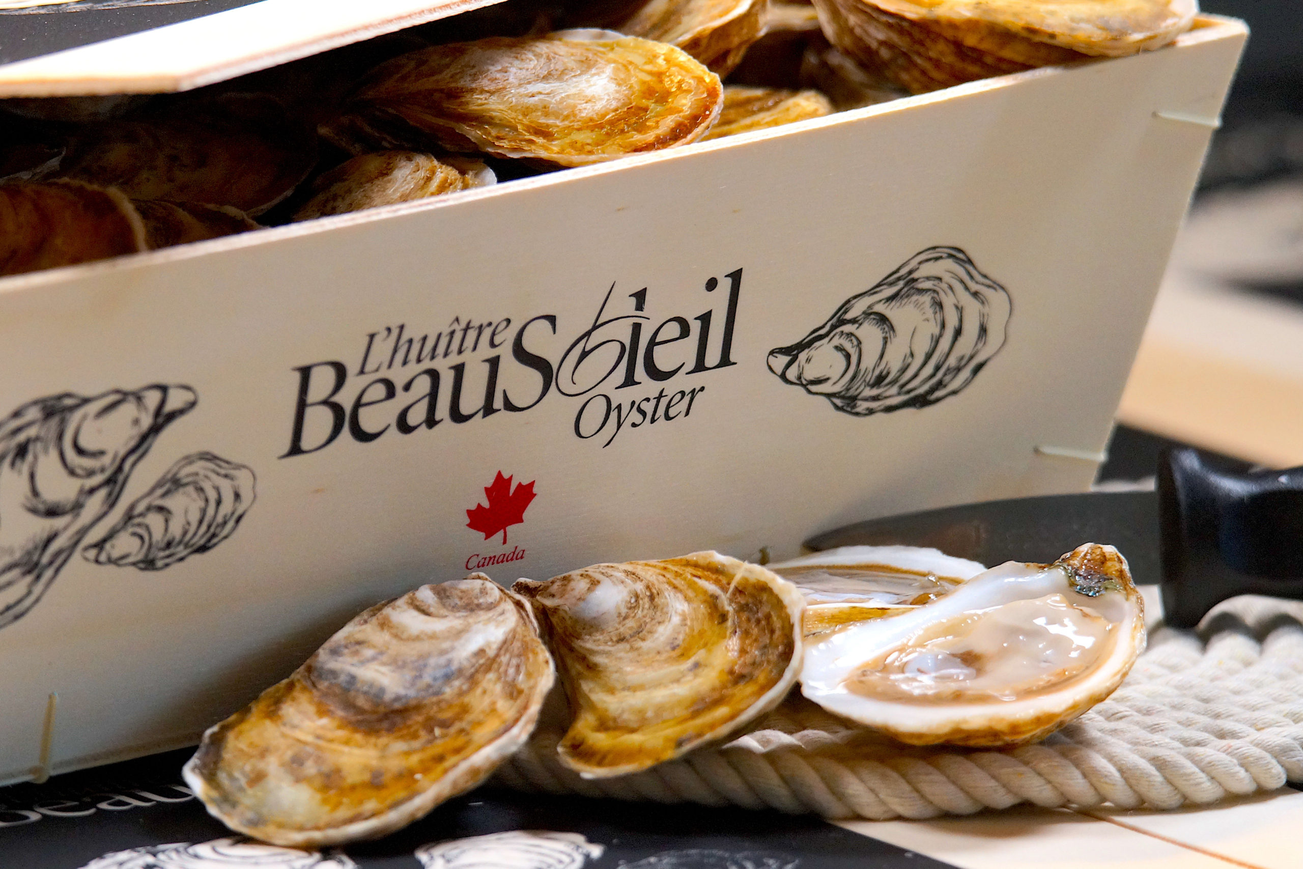 BEAUSOLEIL: The Queen of Oysters