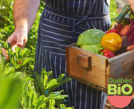Du bio d’ici au restaurant, c’est gagnant! Du bio d’ici au restaurant, c’est gagnant!